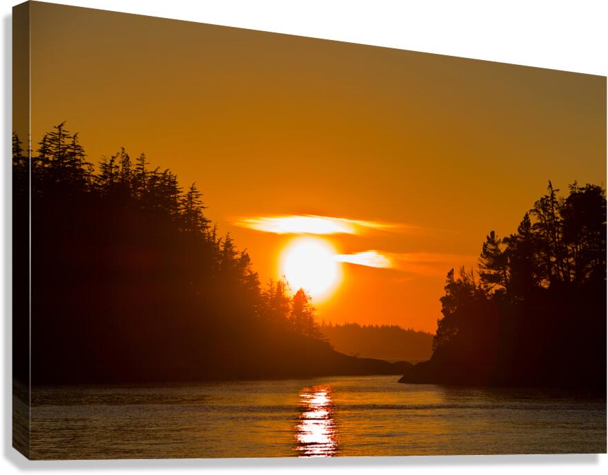 Sunlit Passage  Canvas Print