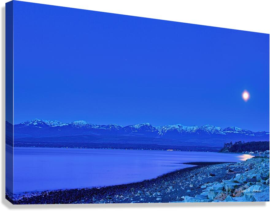 Moonlight Canvas Print