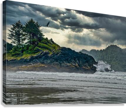 Before the Storm  Canvas Print