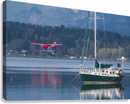 The Morning Landing Canvas Print