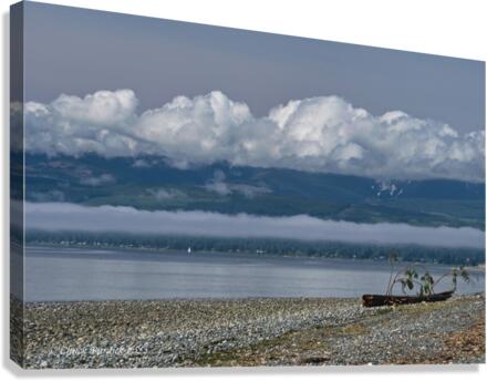 Lone Wash Up Canvas Print