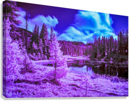 Mt. Washington 3 Canvas Print