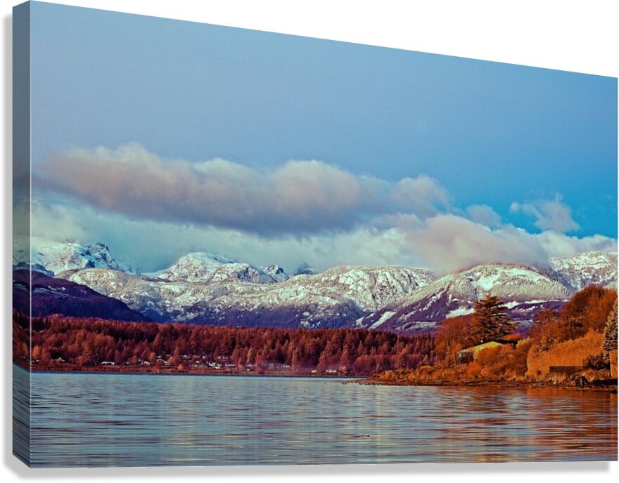 Comox Harbour 1 Canvas Print