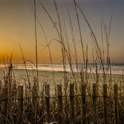 Sunrise At The Beach