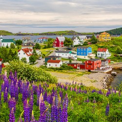 Outport