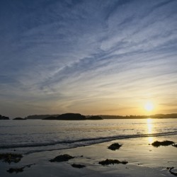 Golden Sunset