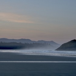 Morning Mist