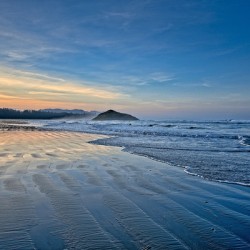 Sandy Shore