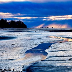Reflections Along the Way