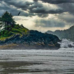 Before the Storm