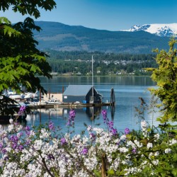 Beautiful Comox Glacier