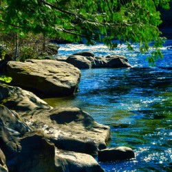 The Oyster River 1