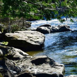 The Oyster River 2