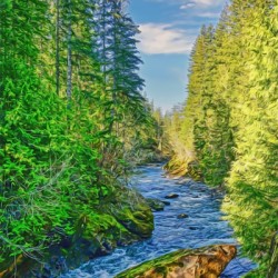 The Oyster River 3