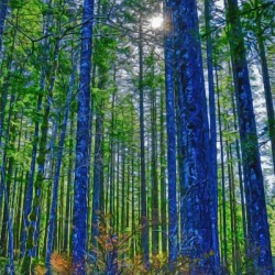 Oyster River Park