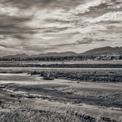 Komoks Fish Traps 2