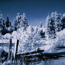 Royston Seaside Trail