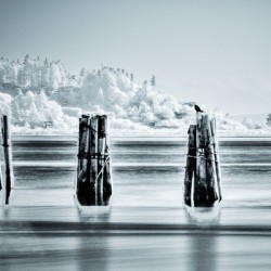Royston Wrecks IR