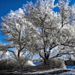 Courtenay River Estuary Infrared