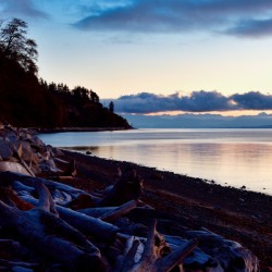 Waiting For Sunrise