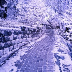 The White Garden Path