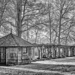 Shelter