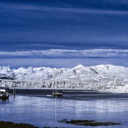 Peaceful Harbour
