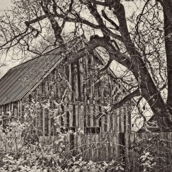 Weathered