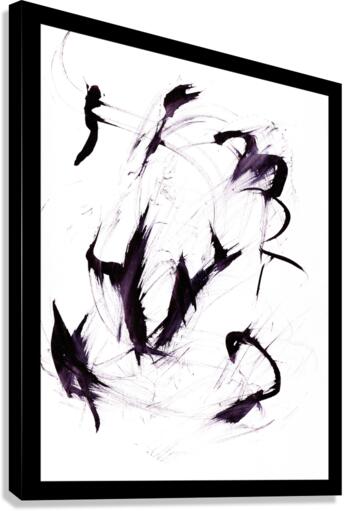 Flight 2 Canvas Print