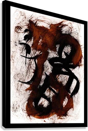 Visage Canvas Print