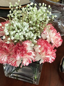 Carnations with Babies Breath