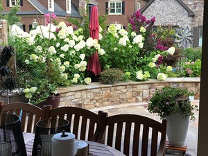 Patio Peace