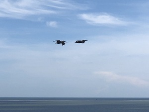 Hilton Head Island South Carrolina