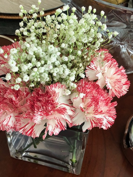 Carnations with Babies Breath by WRR