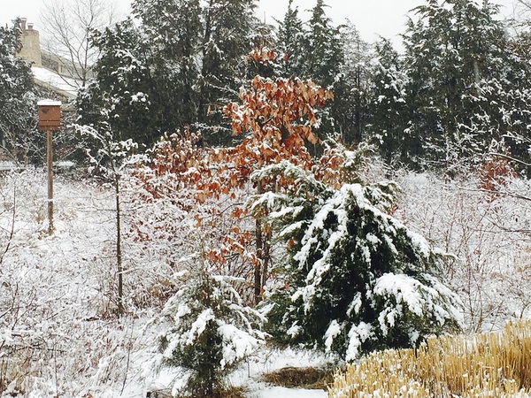 Snow Scape III by WRR