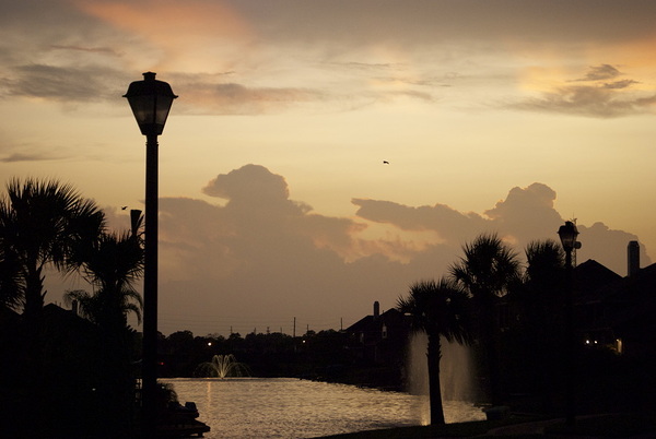 Silhouette Art  by WRR