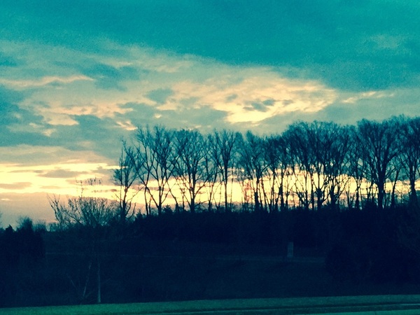 Silhouette Art Scape I by WRR