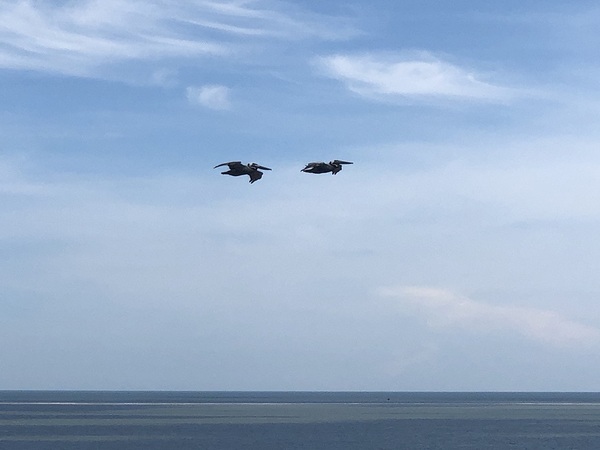 Hilton Head Island South Carrolina by WRR