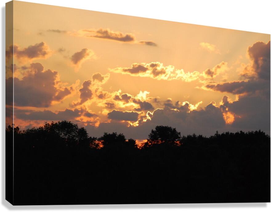 Chicagoland Speedway II Canvas Print