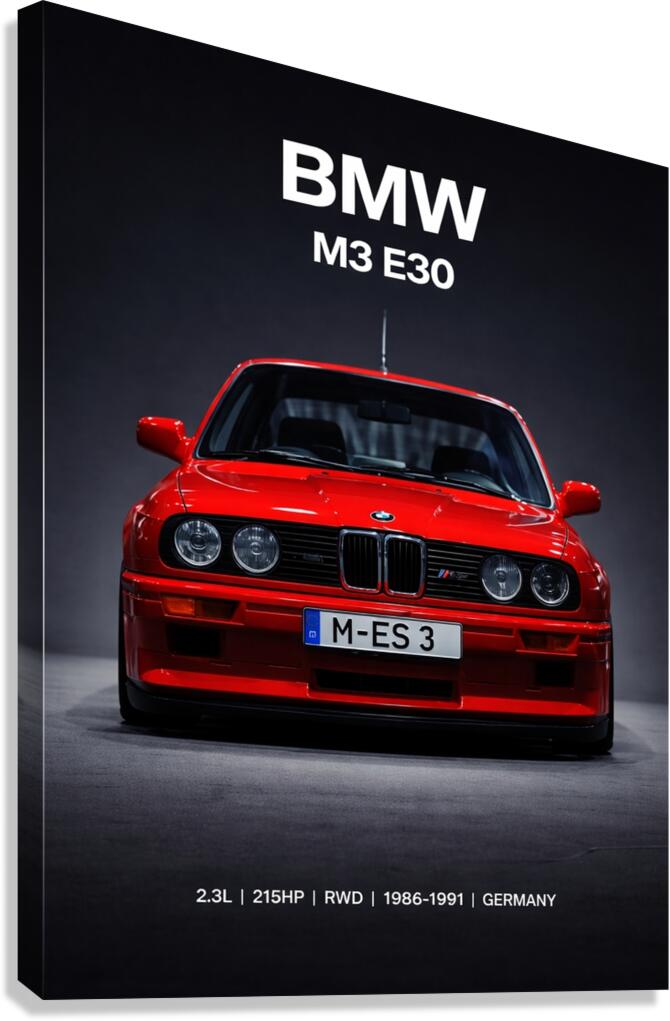 BMW Canvas Print