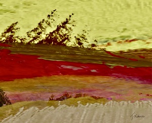 Arbres penches 