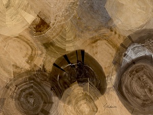 Rosette de tulle 