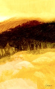 Lisiere de foret 