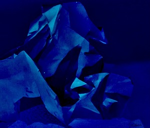 Cheval de mer