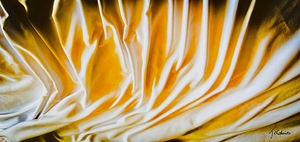 Apres la nuit elongation 