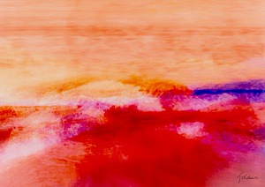 Les algues rouges 