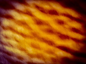 Serpentine 