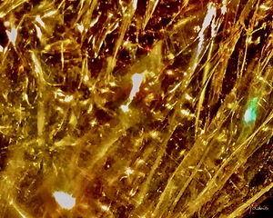 Abstraction V
