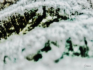 Glacial 