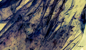 Abstraction IV